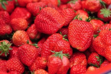 中国草莓助力“一带一路”